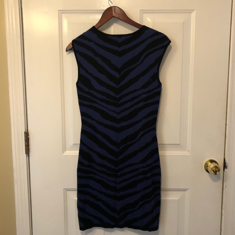 Express Zebra Print Dress